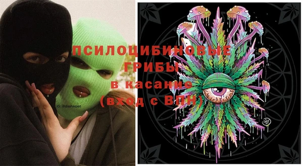 МДПВ Алексин