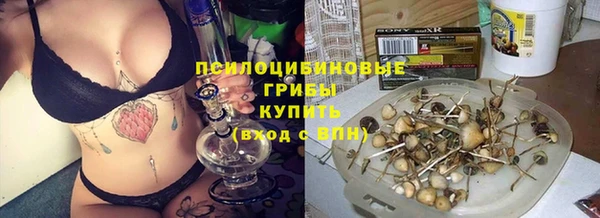 МДПВ Алексин