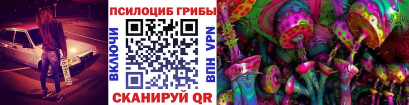Псилоцибиновые грибы Cubensis Бакал